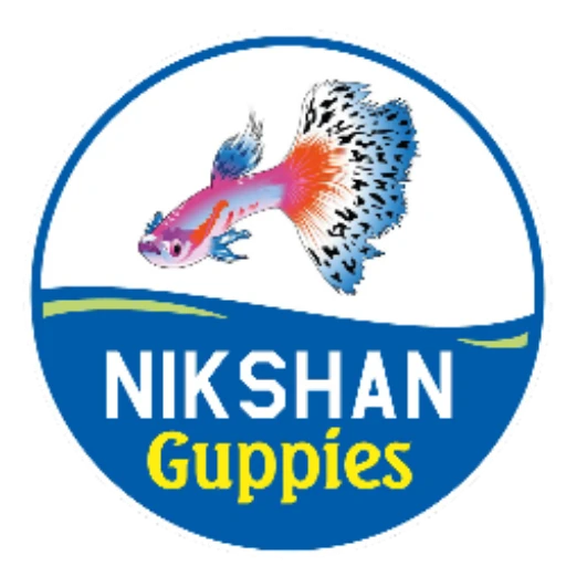 Nikshan Guppies